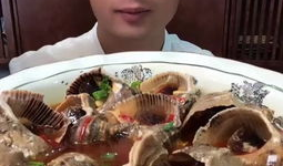 吃海鲜视频,一场味蕾与视觉的完美邂逅