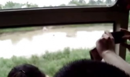 人性交视频,真实情感与欲望的裸露呈现